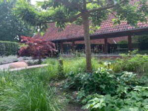 Aulatuin in juni